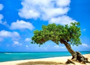 英雄联盟总决赛门票-蓝衣军团的复仇，2026世界杯H组，意大利钢铁防线与德布劳内的魔术之夜