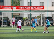 LOL赛事-关于足球赛事现场打破传统，掀起狂潮的信息