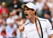 英雄联盟总决赛直播-戴维斯杯绝杀法网，穆雷带队取胜