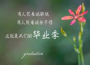 LOL赛事-赛道与球场的交响，F1街道赛焦点战中的骑士险胜活塞