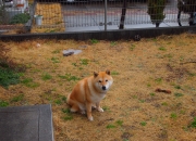 LOL赛事-费城飓风，当拉文的进攻风暴席卷勇士防线