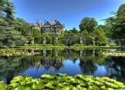 英雄联盟总决赛时间-逆袭之光与数据之海，当非洲心跳盖过欧洲金童的喧嚣