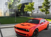 英雄联盟总决赛时间-血脉压制！吉林队团队风暴全面淹没辽宁，哈利伯顿化身棋手掌控比赛每一寸空气