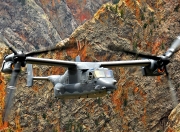 LOL决赛-杜兰特读秒绝杀！东方明珠见证上海队逆转黄蜂