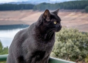 英雄联盟总决赛时间-拉什福德梅开二度引爆全场，皇家社会硬仗1-0险胜哥斯达黎加迎赛季转折