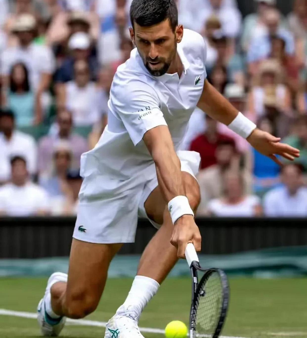 关于温网横扫蒙特卡洛大师赛，辛纳高光表现的信息