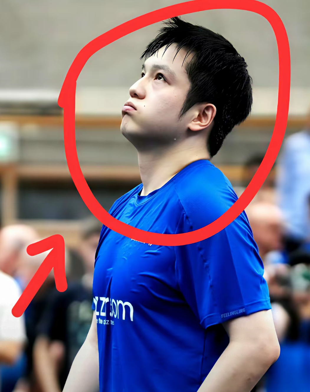 包含中国队轻取葡萄牙队，樊振东刷新纪录的词条