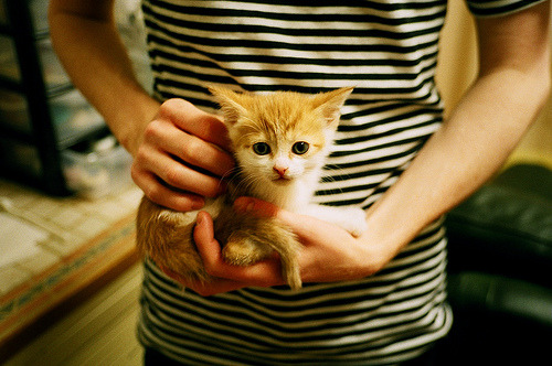 神迹降临!切特最后3分钟疯狂两球,德甲冠军悬念被杀死!