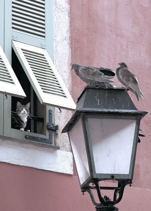 唯一东决交锋,被遗忘的半小时悬念,公牛如何从被压制到扼杀尼克斯?