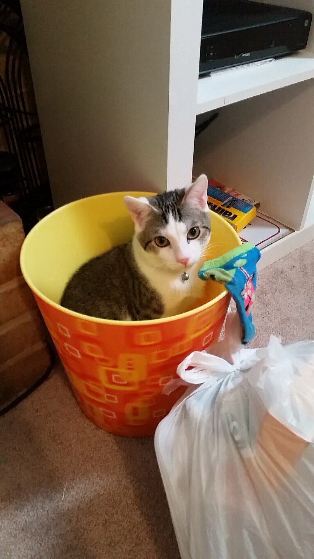 战术革命与关键先生，巴萨哲学如何强行终结巴西艺术，斯通斯成新时代防线象征