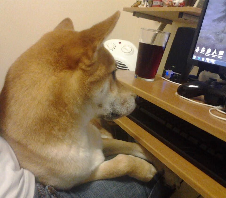 2026世界杯之夜，当贝恩化身为数据棋盘上的唯一君主