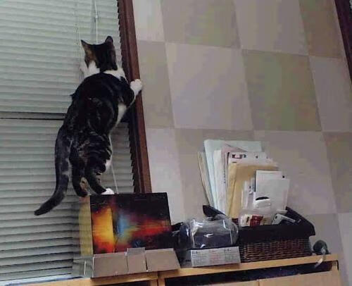 岔路口，当里昂的洪流淹没荷兰，三笘薰在德比舞台点燃圣火