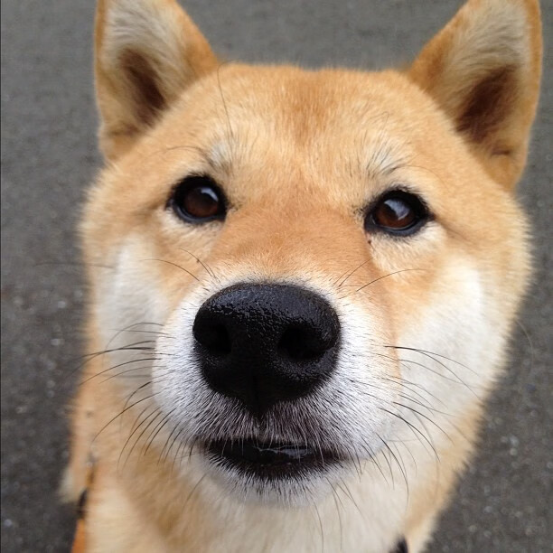 火山之怒与神话一击，当恩佐的岩浆淹没曼联的王朝残影